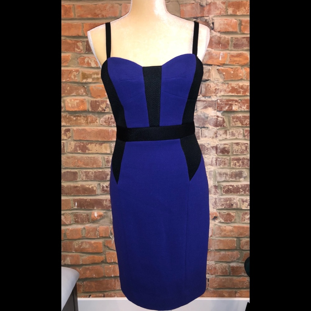 NWT Milly Blackberry Dress sz4 ravens color